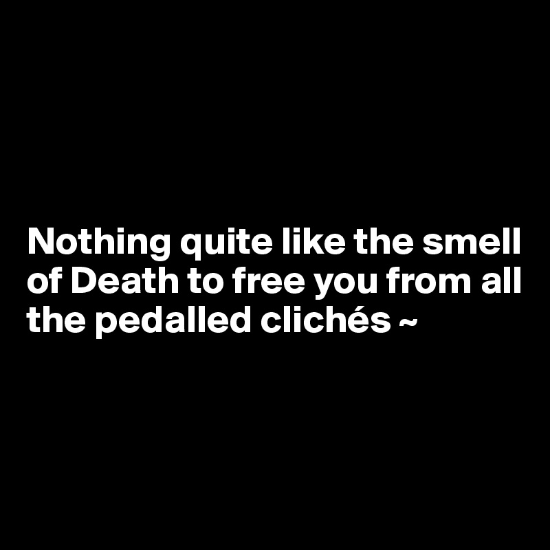 




Nothing quite like the smell of Death to free you from all the pedalled clichés ~ 



