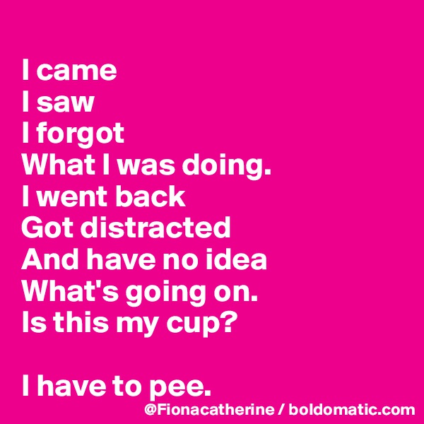 
I came
I saw
I forgot 
What I was doing.
I went back
Got distracted
And have no idea
What's going on.
Is this my cup?

I have to pee.