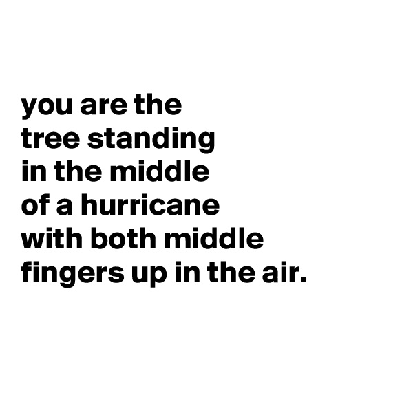 

you are the
tree standing
in the middle 
of a hurricane
with both middle
fingers up in the air.


