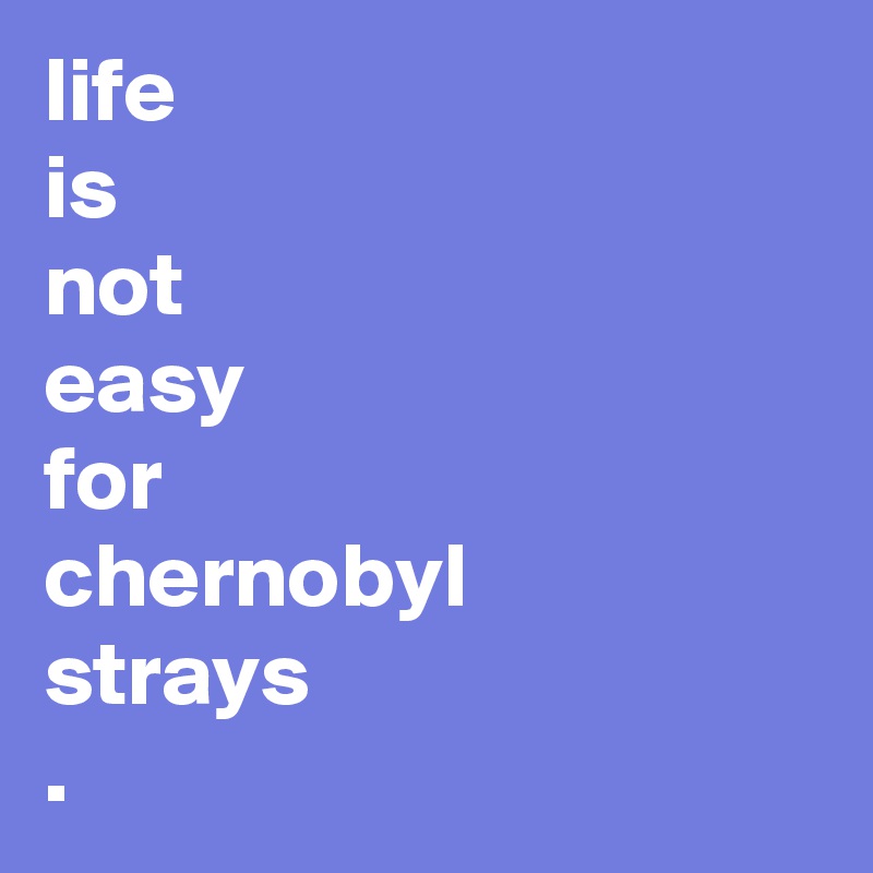 life
is
not
easy
for
chernobyl
strays
. 