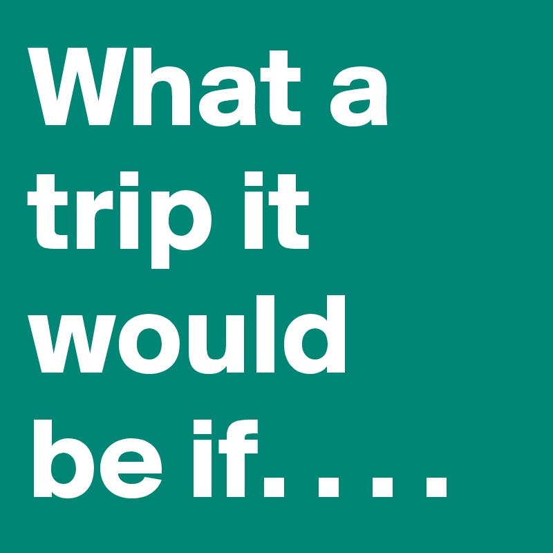 What a trip it would be if. . . .