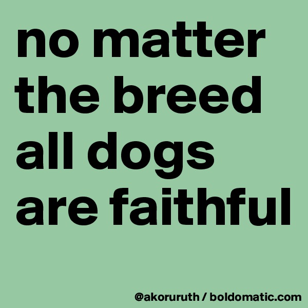 no matter the breed all dogs are faithful