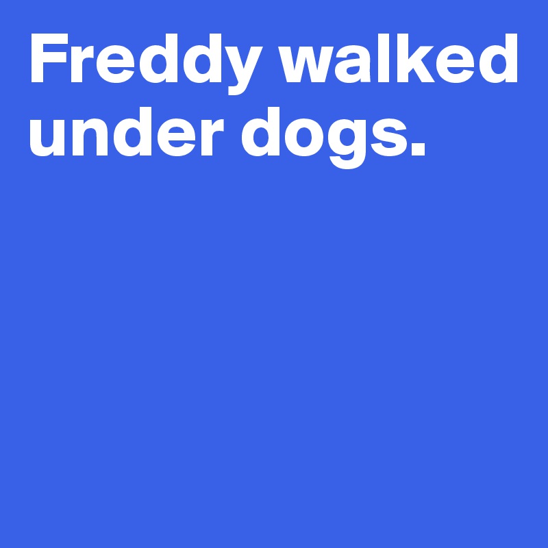 Freddy walked under dogs. 



