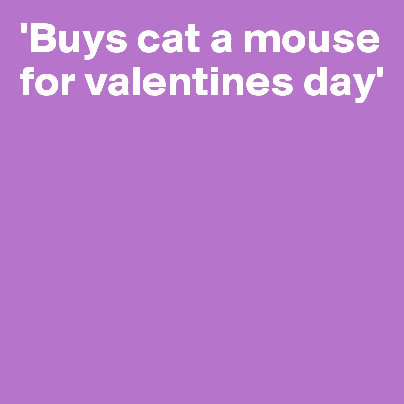 'Buys cat a mouse for valentines day'





