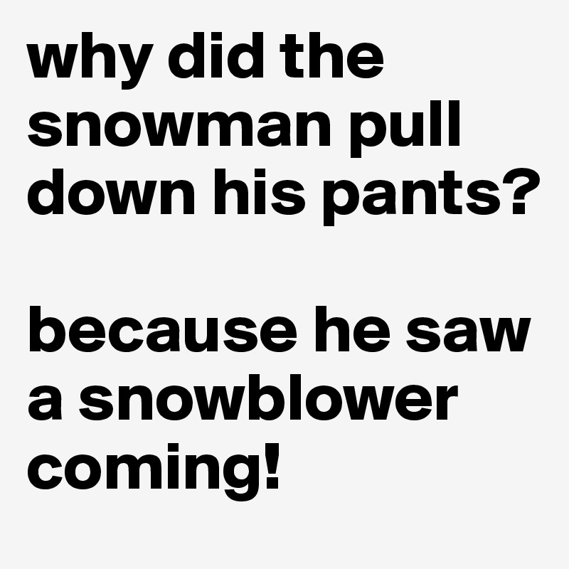 why did the snowman pull down his pants? 

because he saw a snowblower coming!
