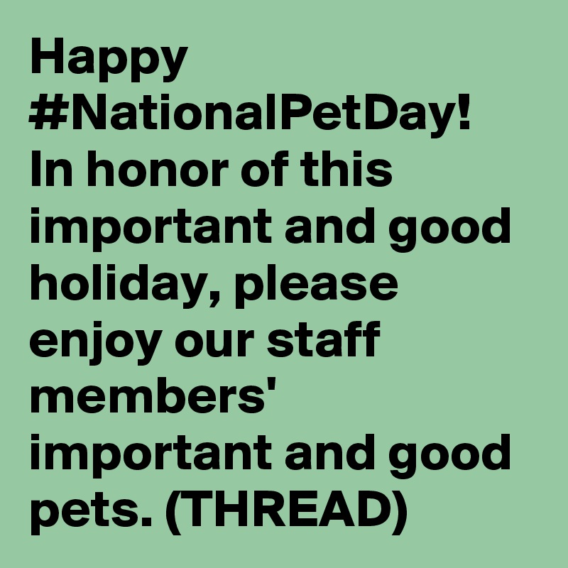 Happy #NationalPetDay! In honor of this important and good holiday, please enjoy our staff members' important and good pets. (THREAD)
