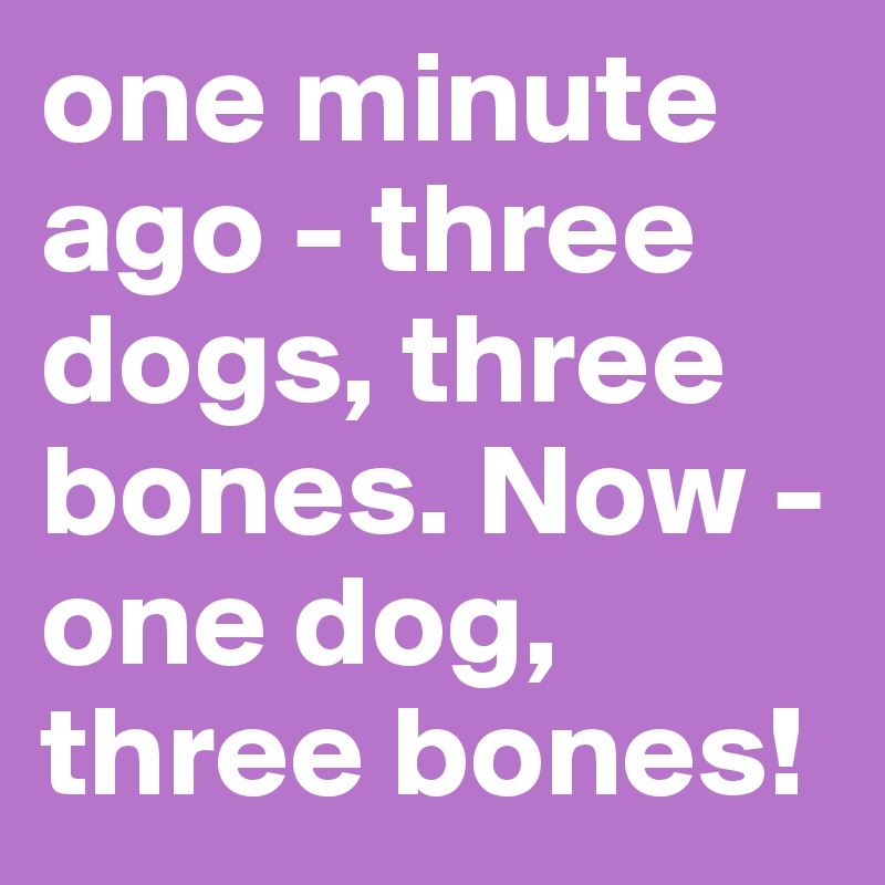 one minute ago - three dogs, three bones. Now - one dog, three bones!