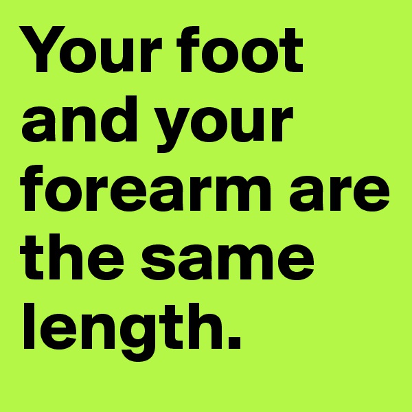 Your foot and your forearm are the same length.