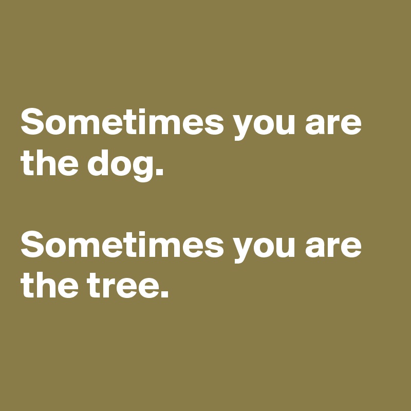 

Sometimes you are the dog.

Sometimes you are the tree.


