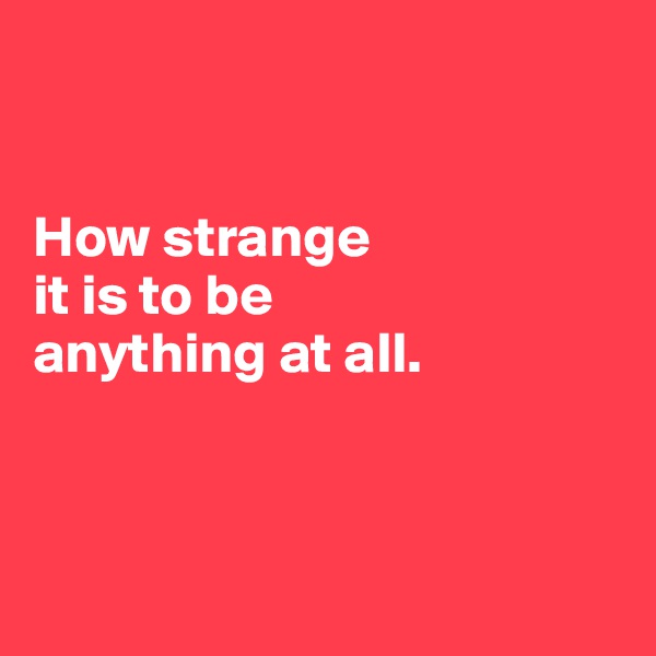 


How strange 
it is to be 
anything at all.



