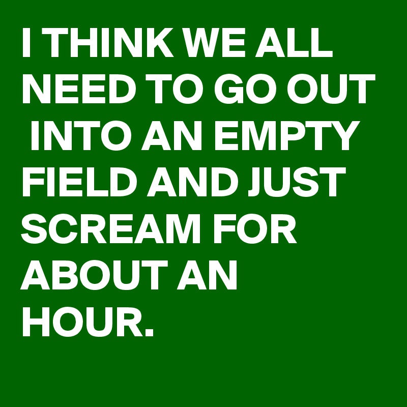 I THINK WE ALL NEED TO GO OUT  INTO AN EMPTY FIELD AND JUST SCREAM FOR ABOUT AN HOUR.