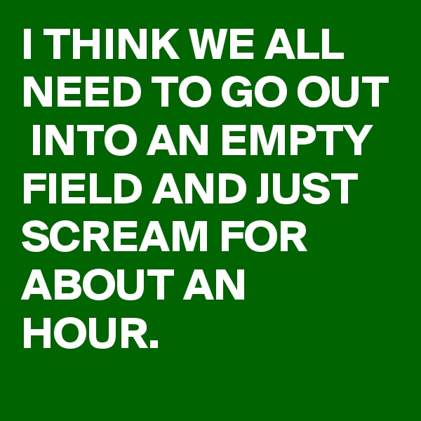 I THINK WE ALL NEED TO GO OUT  INTO AN EMPTY FIELD AND JUST SCREAM FOR ABOUT AN HOUR.