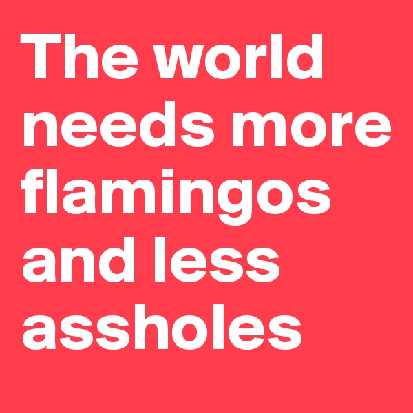 The world needs more flamingos and less assholes