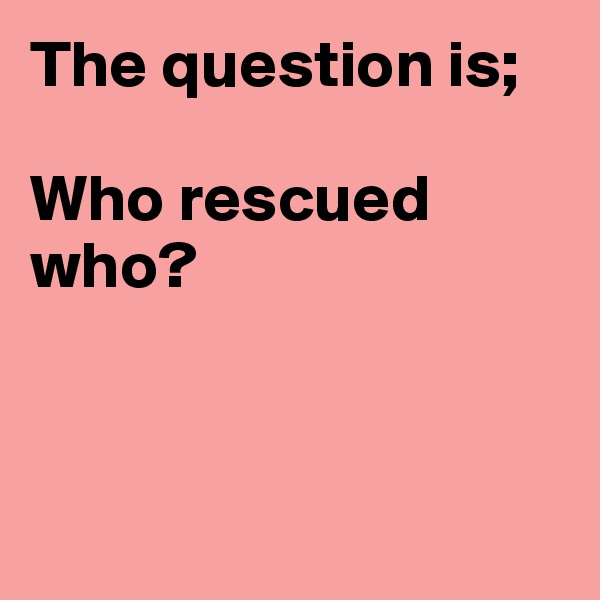 The question is;

Who rescued who?



