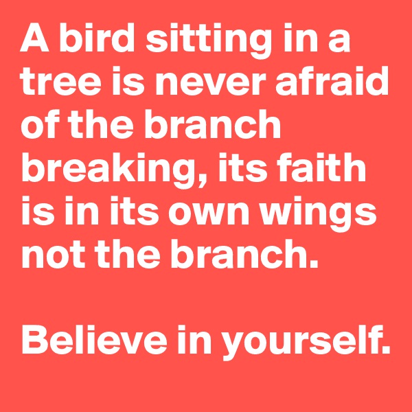 A bird sitting in a tree is never afraid of the branch breaking, its faith is in its own wings not the branch. 

Believe in yourself. 