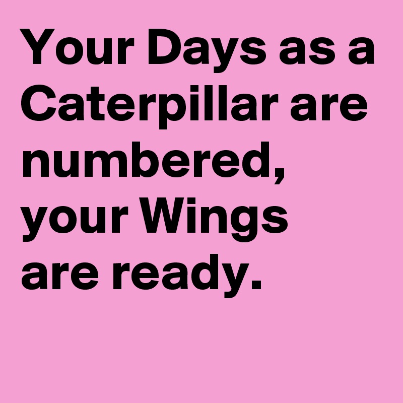 Your Days as a Caterpillar are numbered, your Wings are ready.
