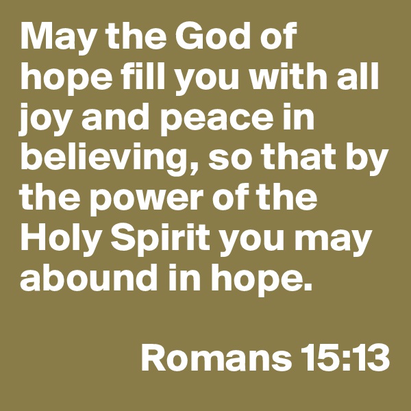 May the God of hope fill you with all joy and peace in believing, so that by the power of the Holy Spirit you may abound in hope. 
           
               Romans 15:13