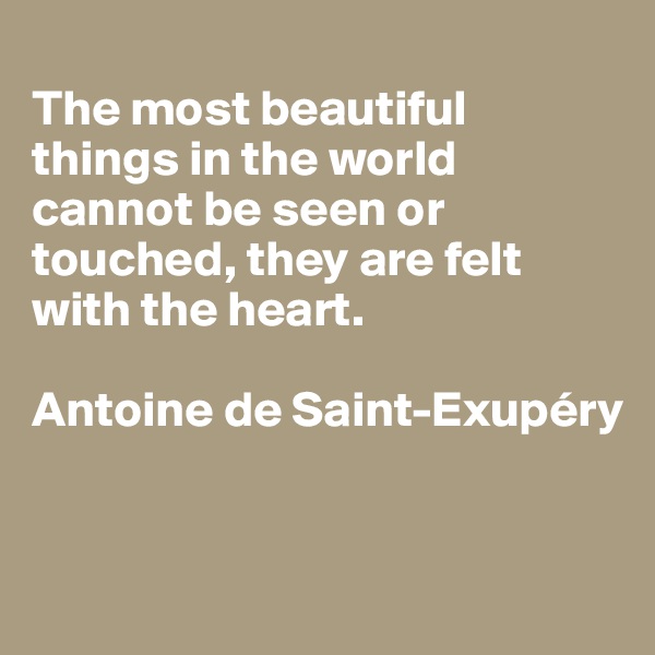 
The most beautiful things in the world cannot be seen or touched, they are felt with the heart.

Antoine de Saint-Exupéry


