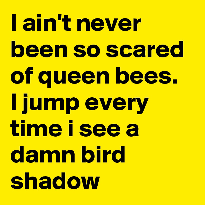 I ain't never been so scared of queen bees. I jump every time i see a damn bird shadow