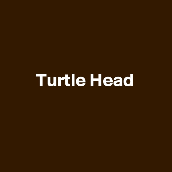 


Turtle Head




