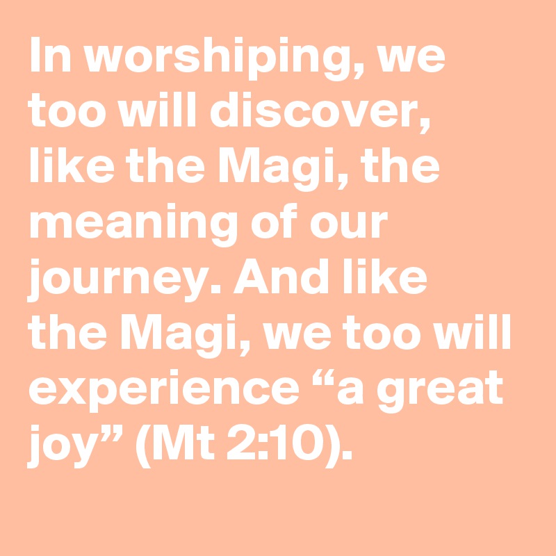 In worshiping, we too will discover, like the Magi, the meaning of our journey. And like the Magi, we too will experience “a great joy” (Mt 2:10).