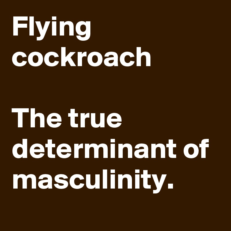 Flying cockroach

The true determinant of masculinity.