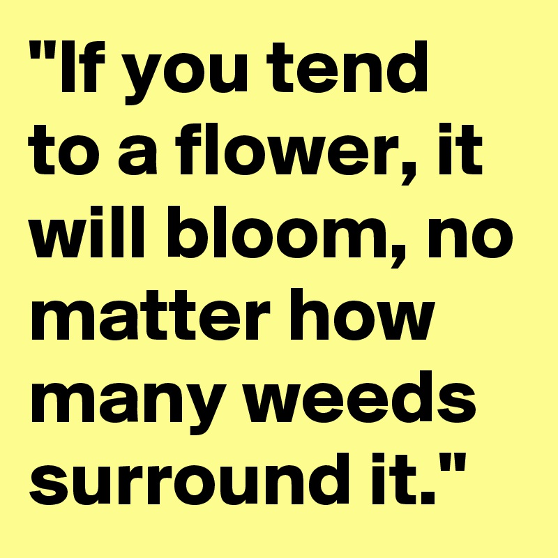 "If you tend to a flower, it will bloom, no matter how many weeds surround it."
