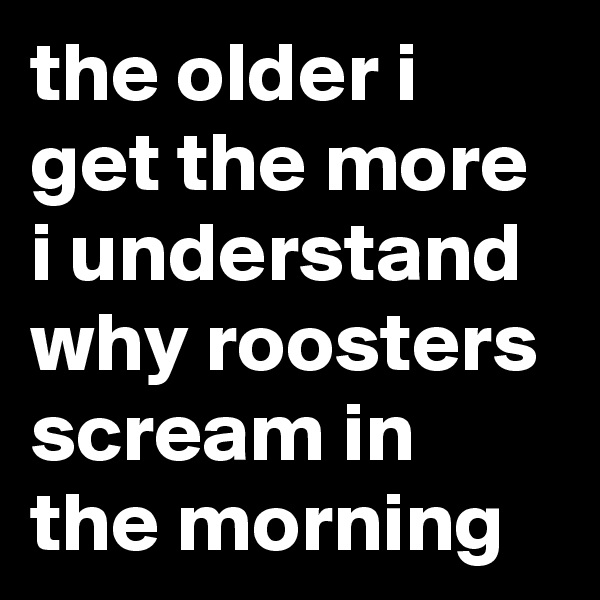 the older i get the more i understand why roosters scream in the morning