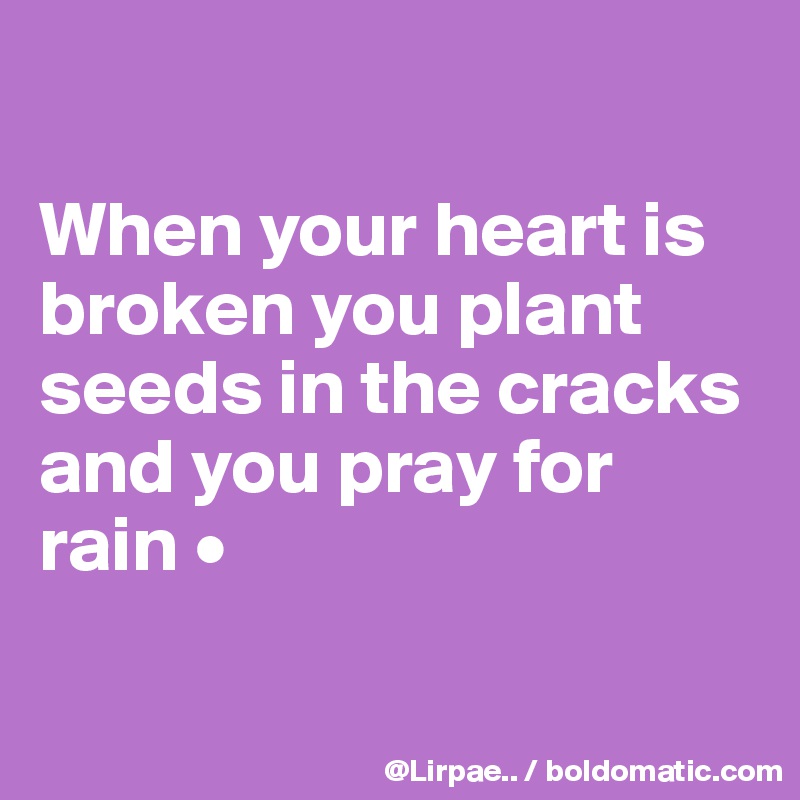 

When your heart is broken you plant seeds in the cracks and you pray for rain •

