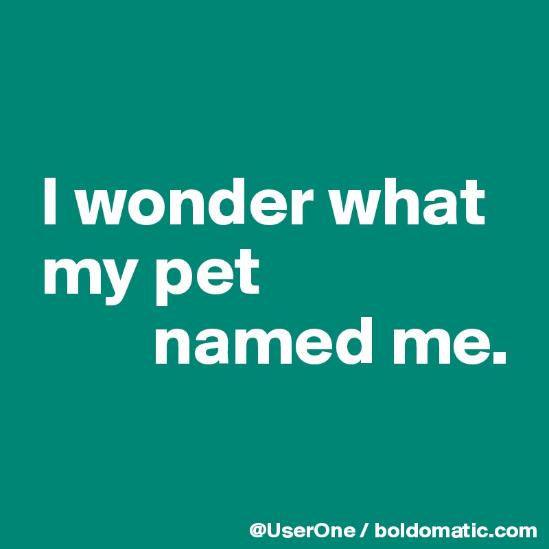 

 I wonder what
 my pet
         named me.

