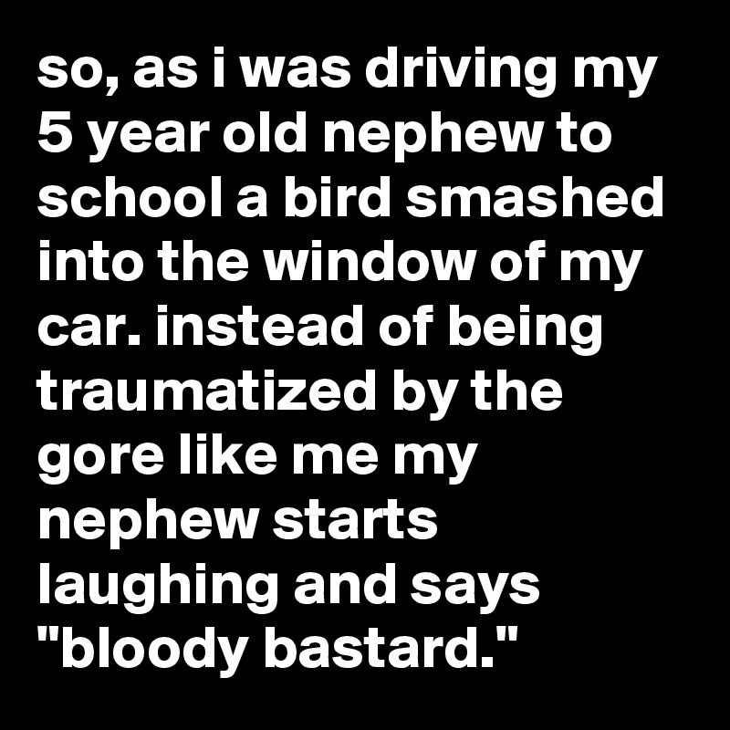 so, as i was driving my 5 year old nephew to school a bird smashed into the window of my car. instead of being traumatized by the gore like me my nephew starts laughing and says "bloody bastard."