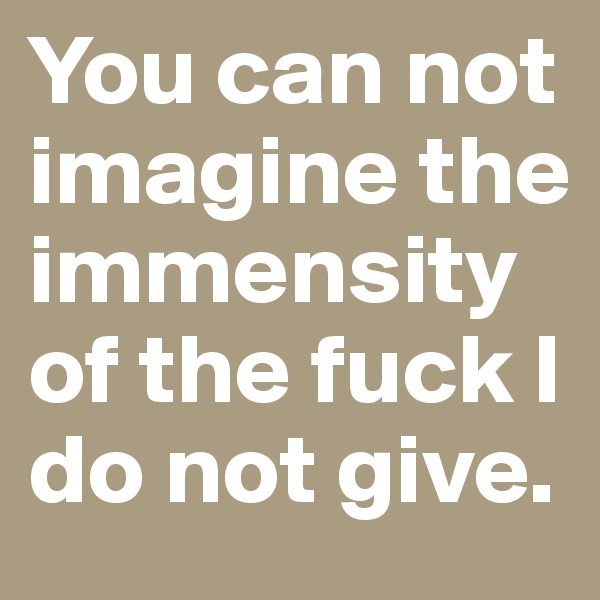 You can not imagine the immensity of the fuck I do not give.