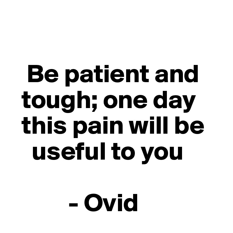 

   Be patient and 
  tough; one day 
  this pain will be 
    useful to you

           - Ovid