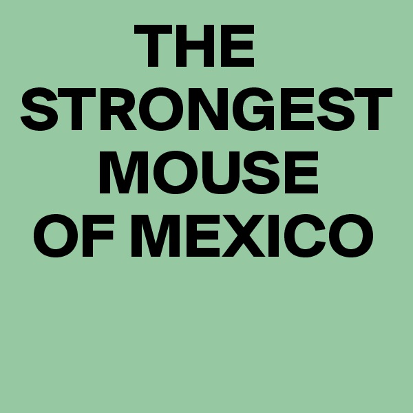         THE STRONGEST
      MOUSE
 OF MEXICO
