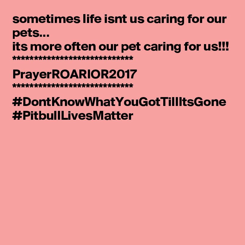 sometimes life isnt us caring for our pets...
its more often our pet caring for us!!!
****************************
PrayerROARIOR2017
****************************
#DontKnowWhatYouGotTillItsGone
#PitbullLivesMatter