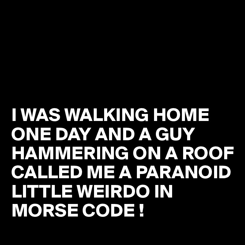 




I WAS WALKING HOME ONE DAY AND A GUY HAMMERING ON A ROOF CALLED ME A PARANOID LITTLE WEIRDO IN MORSE CODE !