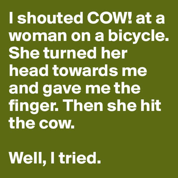 I shouted COW! at a woman on a bicycle. 
She turned her head towards me and gave me the finger. Then she hit the cow. 

Well, I tried. 