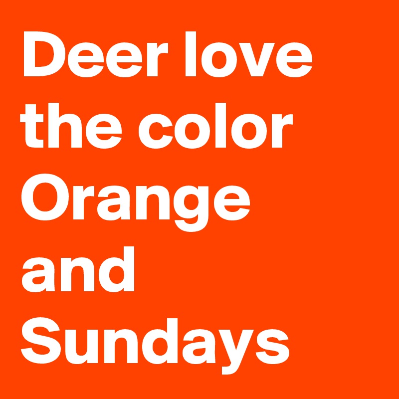 Deer love the color Orange and Sundays