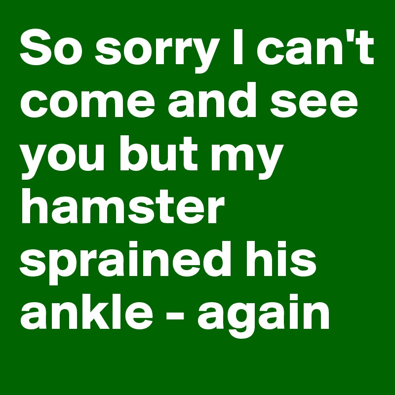 So sorry I can't come and see you but my hamster sprained his ankle - again