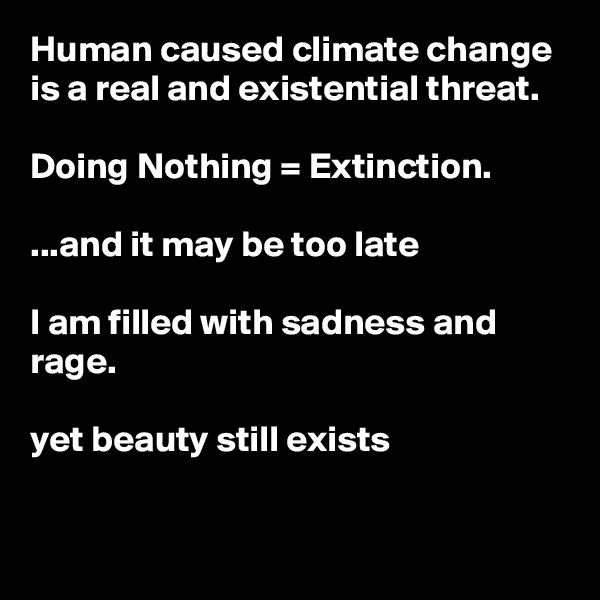 Human caused climate change is a real and existential threat.
 
Doing Nothing = Extinction.

...and it may be too late

I am filled with sadness and rage.

yet beauty still exists


