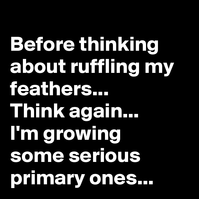 
Before thinking about ruffling my feathers...
Think again...
I'm growing 
some serious primary ones...