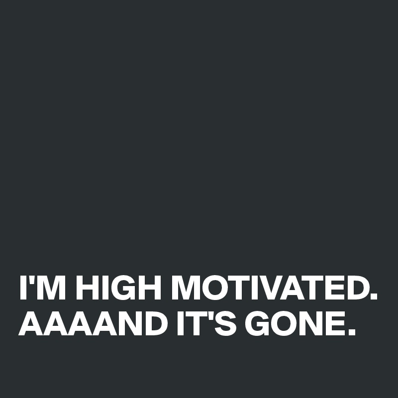 






I'M HIGH MOTIVATED.
AAAAND IT'S GONE.