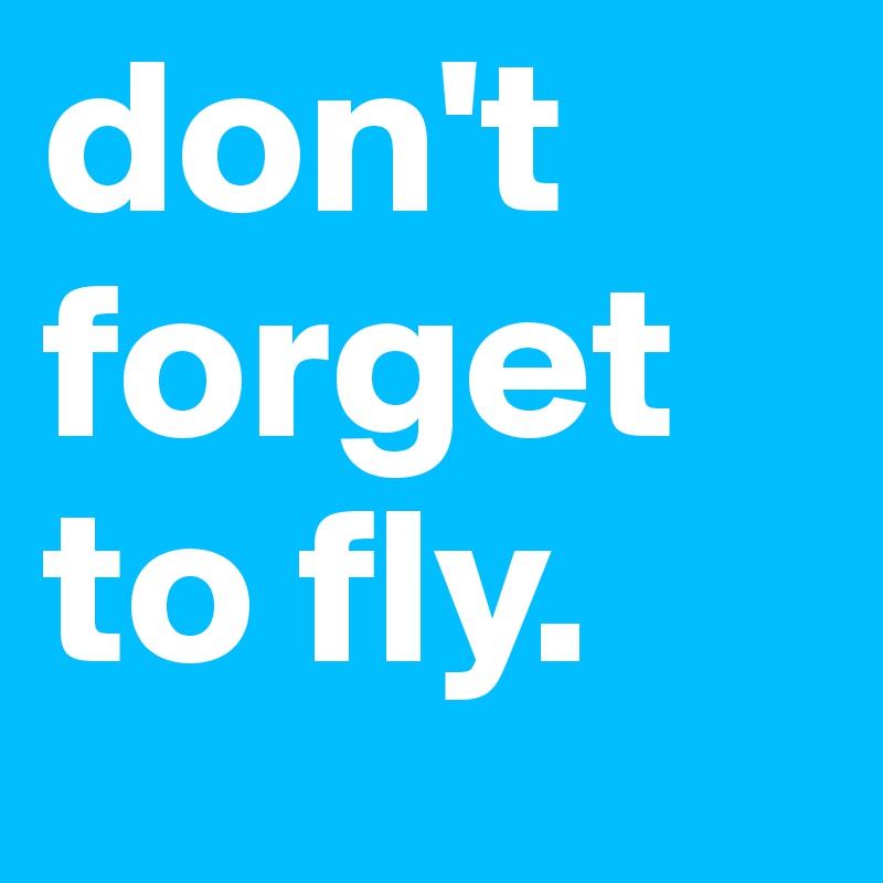 don't forget to fly. 
