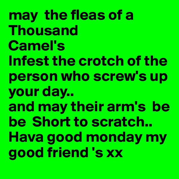may  the fleas of a Thousand
Camel's
Infest the crotch of the person who screw's up your day..
and may their arm's  be be  Short to scratch..
Hava good monday my good friend 's xx 