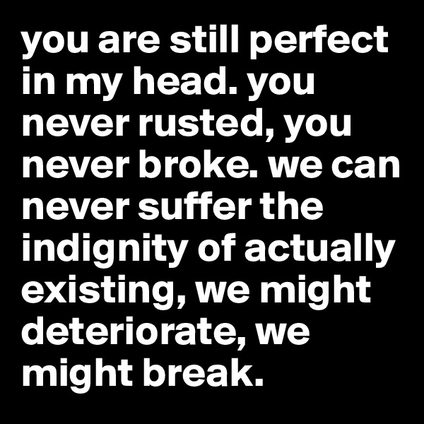 you are still perfect in my head. you never rusted, you never broke. we can never suffer the indignity of actually existing, we might deteriorate, we might break. 