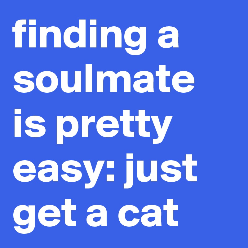 finding a soulmate is pretty easy: just get a cat