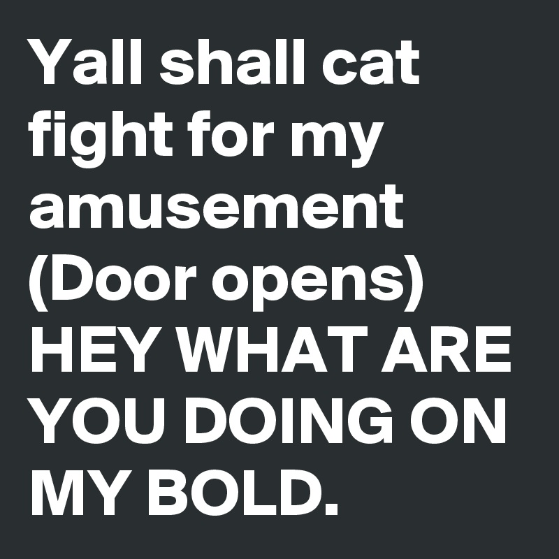 Yall shall cat fight for my amusement 
(Door opens)
HEY WHAT ARE YOU DOING ON MY BOLD.