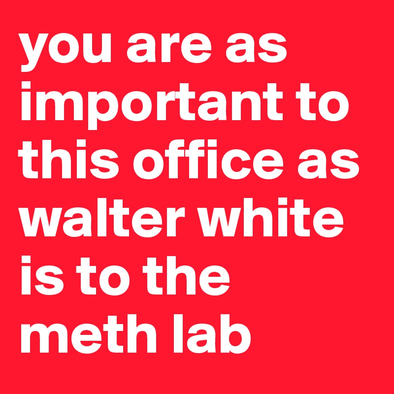 you are as important to this office as walter white is to the meth lab 