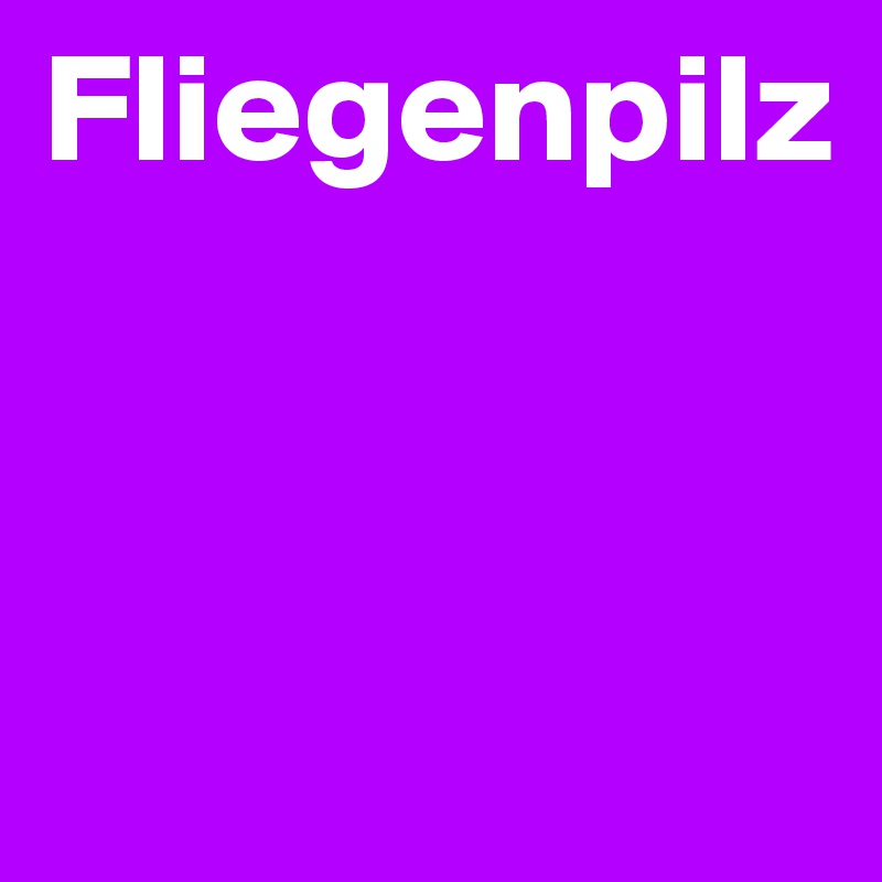 Fliegenpilz



