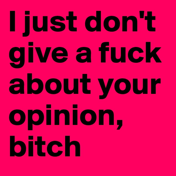 I just don't give a fuck about your opinion, bitch